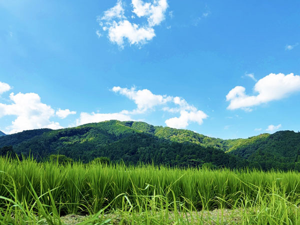 碓井エリア（のどかな暮らしを楽しみたい方へ）